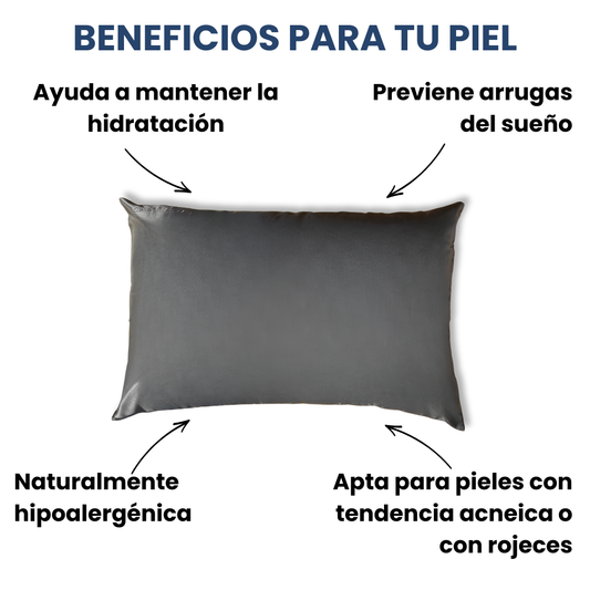 Fundas de Almohada de Seda Gris Oscuro Onisa Coté
