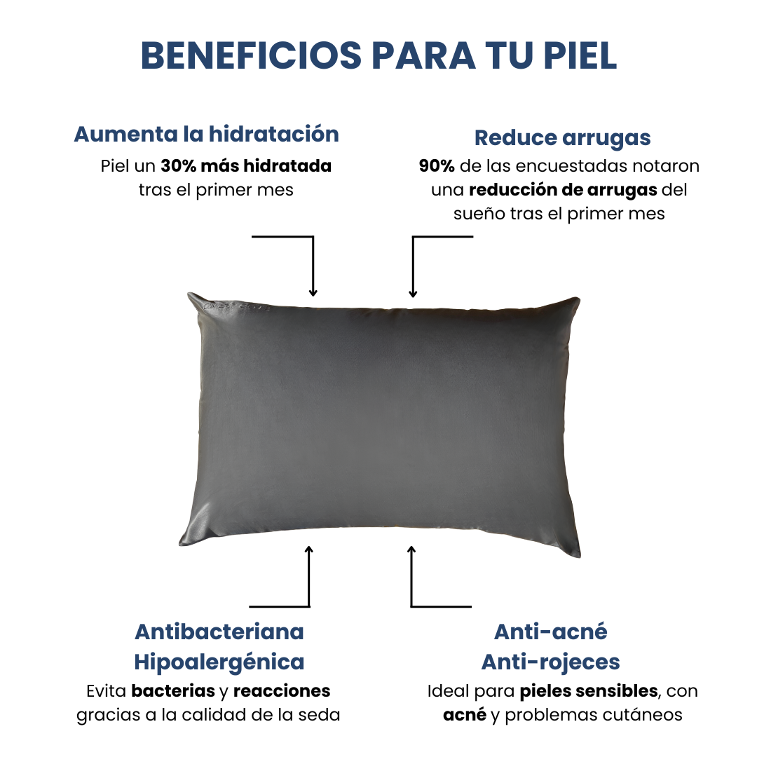 Fundas de Almohada de Seda Gris Oscuro Onisa Coté