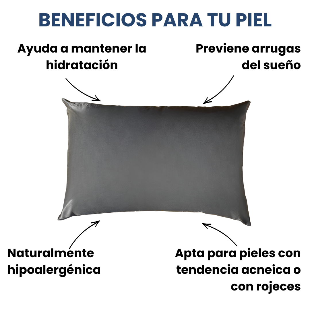 Fundas de Almohada de Seda Gris Oscuro Onisa Coté