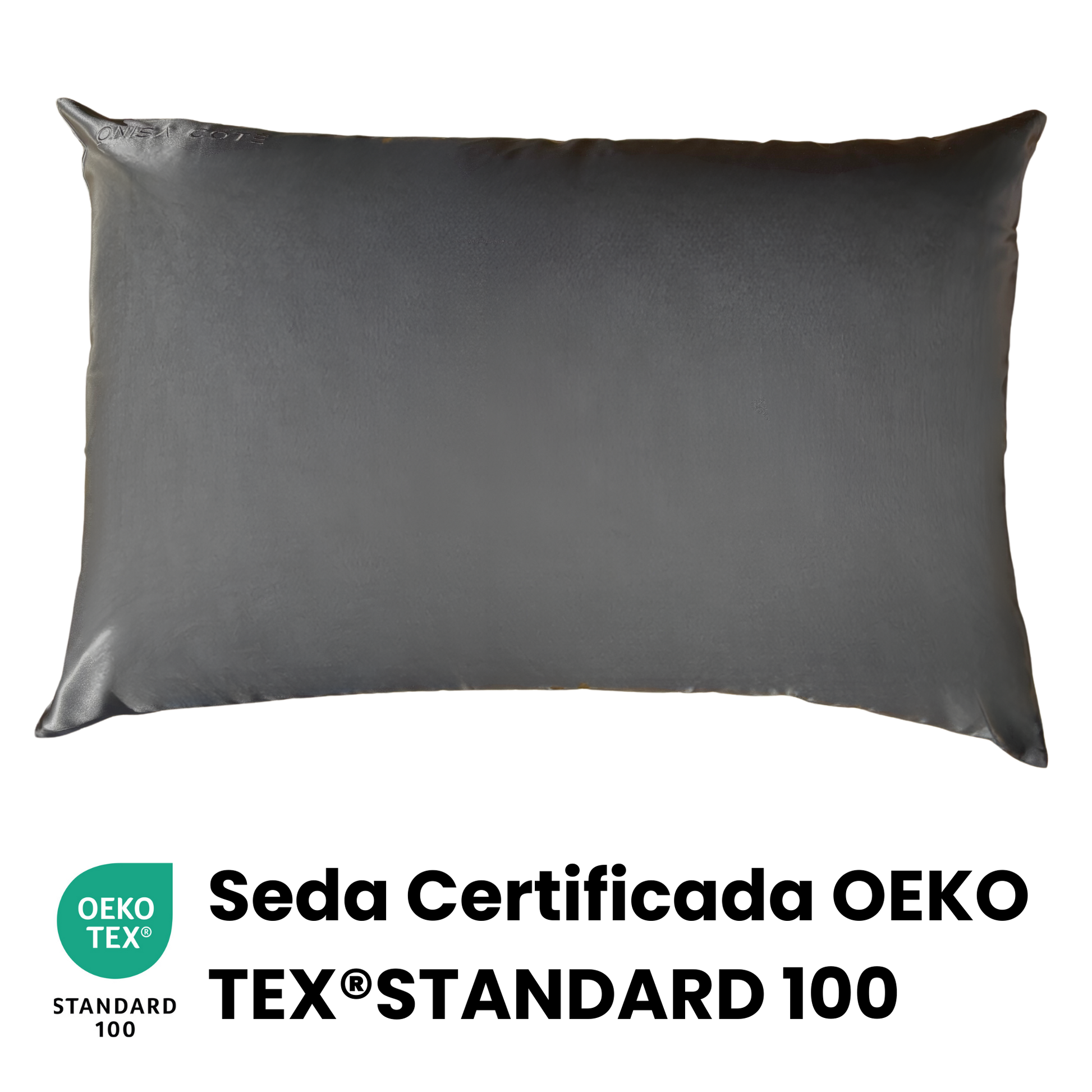 Fundas de Almohada de Seda Gris Oscuro Onisa Coté